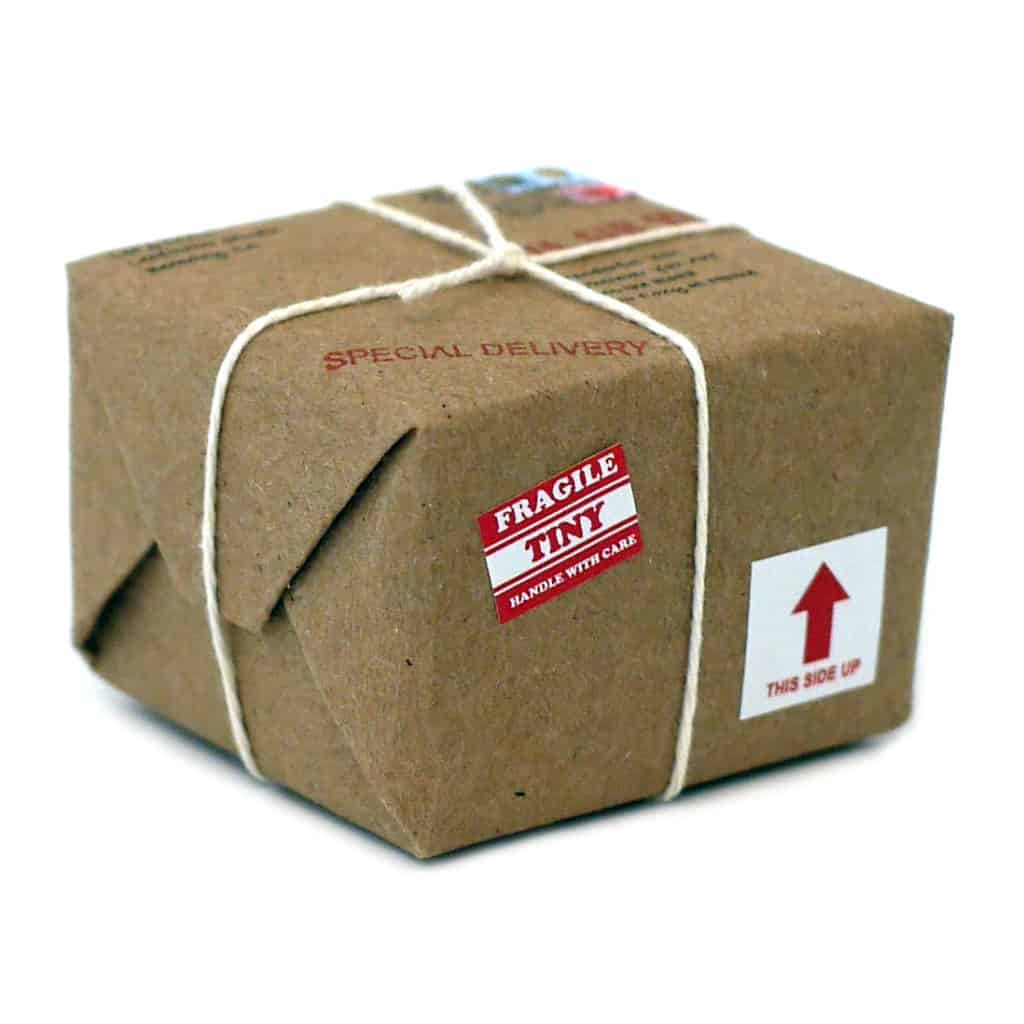 Dollar General Return Policy [ Read BEFORE You Return ]